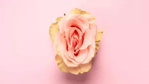 Masturbation and Pregnancy: Is It Safe? Find Out Now Masturbation and Pregnancy: Is It Safe? Find Out Now