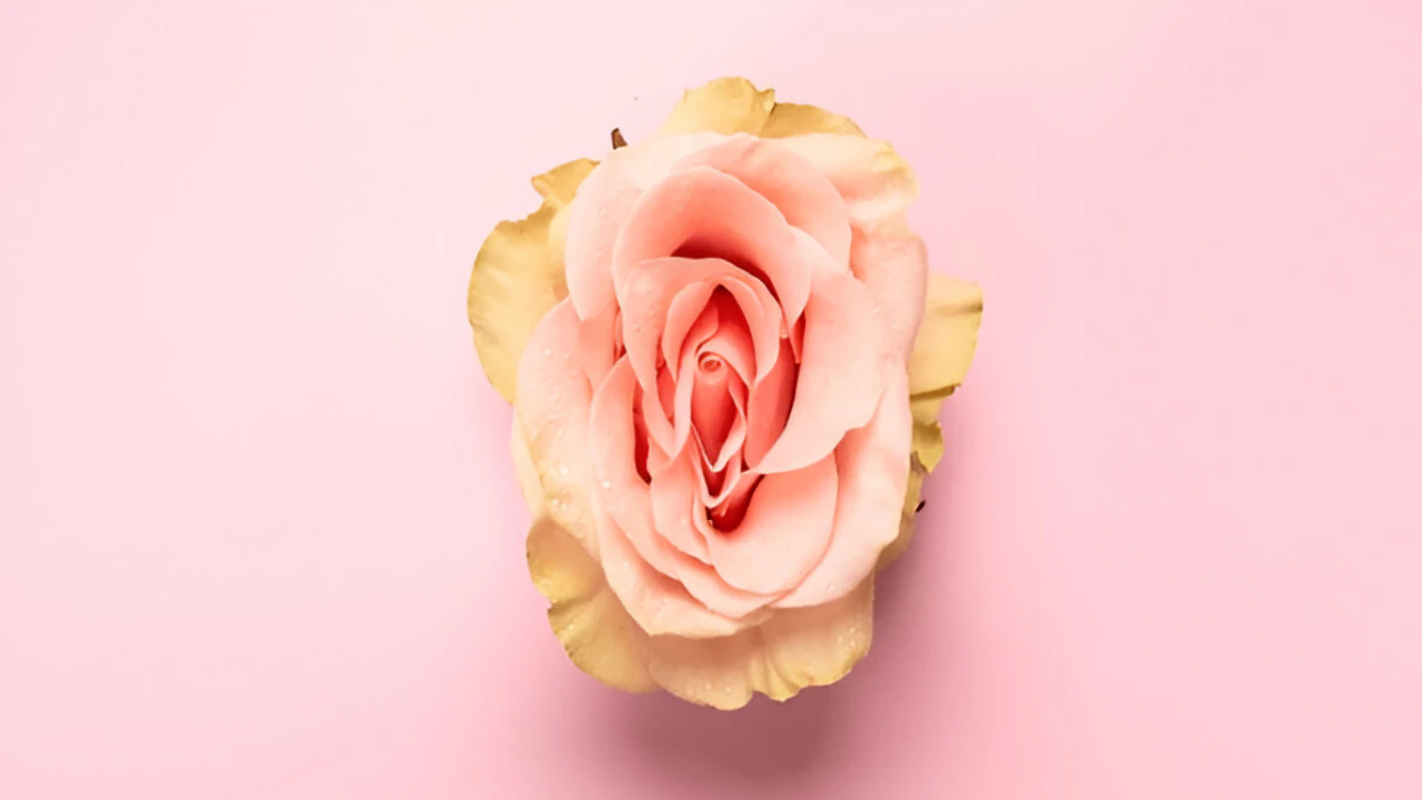 Masturbation and Pregnancy: Is It Safe? Find Out Now
