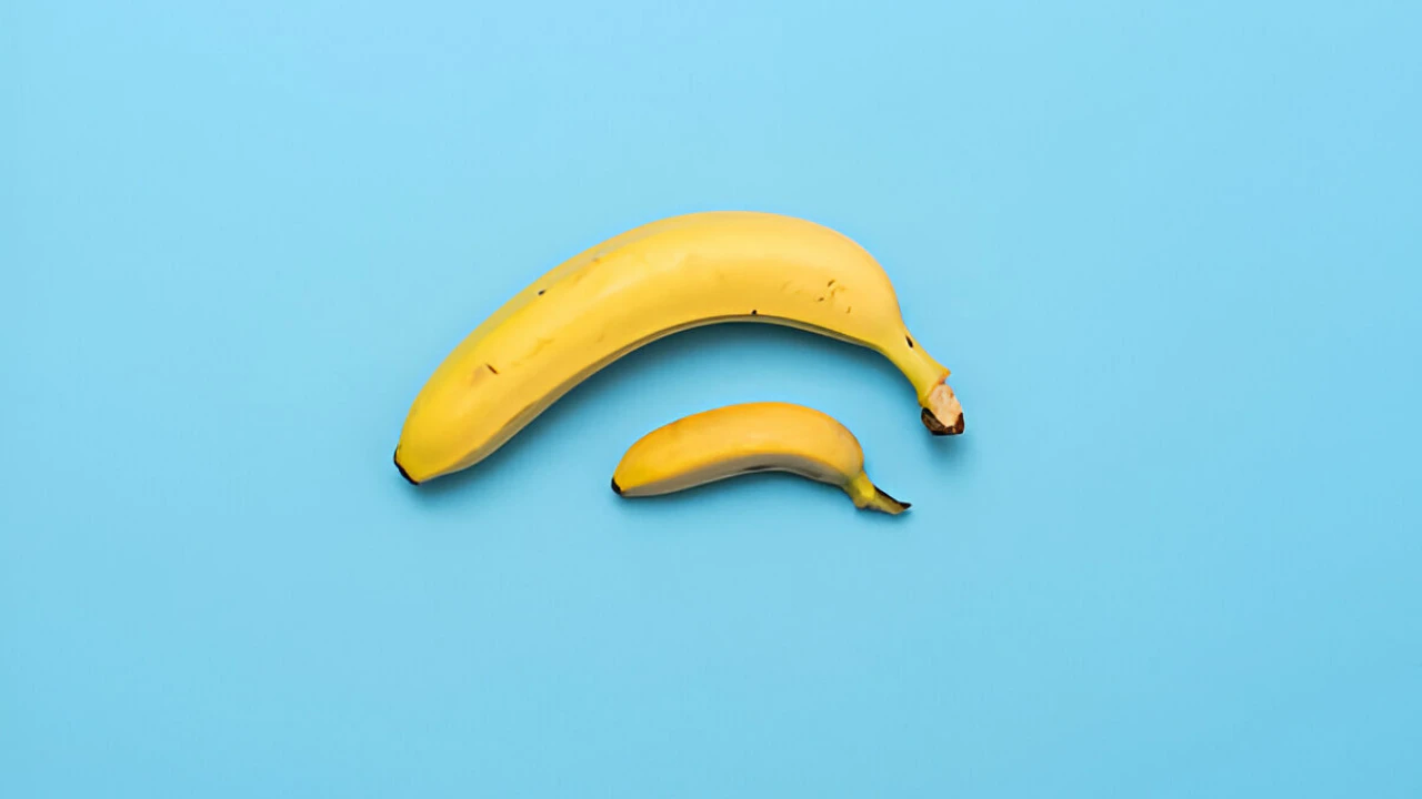 Penis Shrinkage: Causes, Myths, and Facts You Should Know