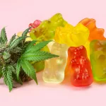 Hemp Gummies vs CBD Gummies: What’s the Real Difference?