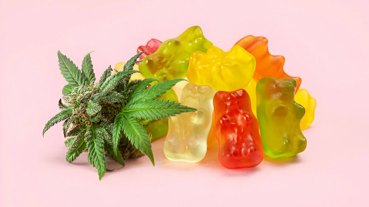 Hemp Gummies vs CBD Gummies: What’s the Real Difference?
