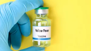 Yellow Fever Vaccine: Costs, Kids, and Care Unveiled Yellow Fever Vaccine: Costs, Kids, and Care Unveiled