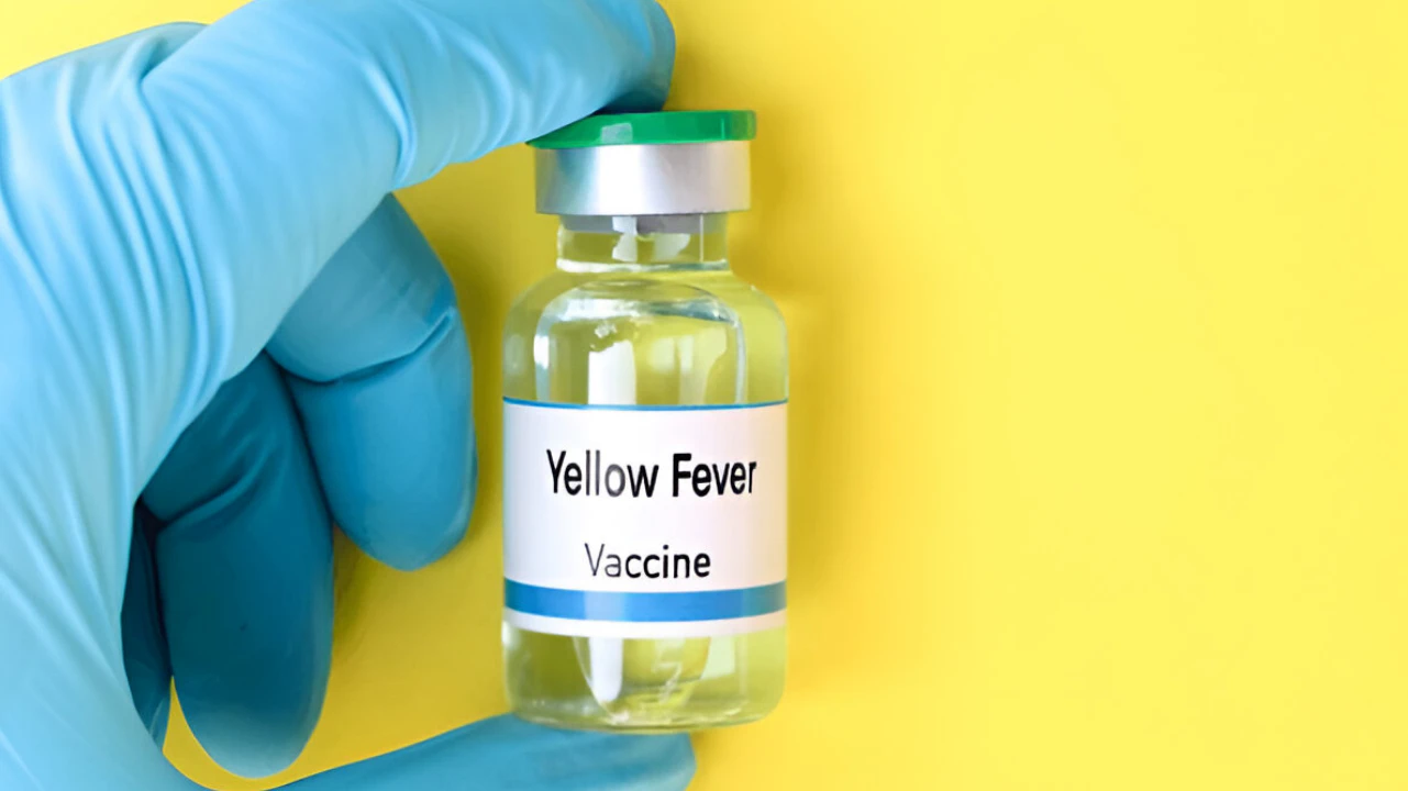 Yellow Fever Vaccine: Costs, Kids, and Care Unveiled