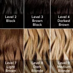 What Level Is My Hair? Stop Guessing and Know Now