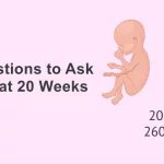 Top Questions to Ask Your OB at 20 Weeks. Read Now!
