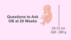 Top Questions to Ask Your OB at 20 Weeks. Read Now!