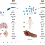 Autoimmune Disease After Cancer Treatment: What You Need to Know