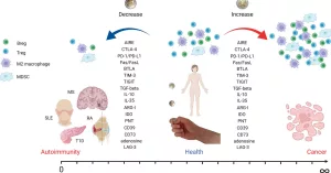 Autoimmune Disease After Cancer Treatment: What You Need to Know