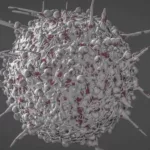 CD4 T Lymphocytes: Groundbreaking Cancer Immunotherapy Potential CD4 T Lymphocytes: Groundbreaking Cancer Immunotherapy Potential