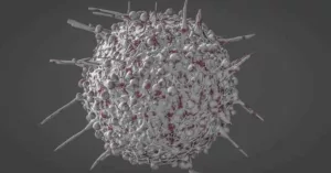 CD4 T Lymphocytes: Groundbreaking Cancer Immunotherapy Potential CD4 T Lymphocytes: Groundbreaking Cancer Immunotherapy Potential