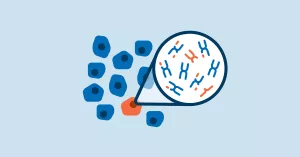 Chromosome Imbalances in Cancer Cells and Their Surprising Ties to Mitochondria