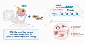 Dual-targeting Radiopharmaceutical Therapy: Breakthrough Cancer Treatment