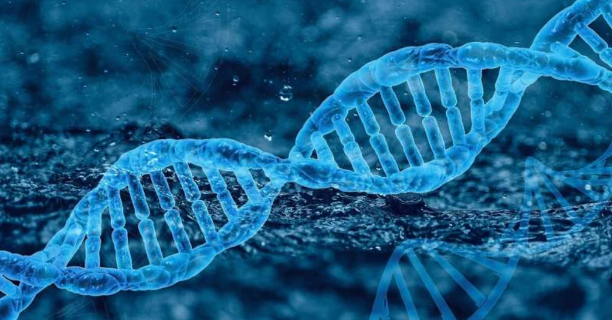 Gene Therapy Skin Grafts: Healing Chronic Wounds, One Cell at a Time