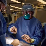 Pig Kidney Xenotransplantation: What Happens When Bodies Rebel?