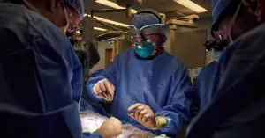 Pig Kidney Xenotransplantation: What Happens When Bodies Rebel? Pig Kidney Xenotransplantation: What Happens When Bodies Rebel?