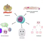 People with Severe Diabetes Cured in Small Stem Cell Trial People with Severe Diabetes Cured in Small Stem Cell Trial