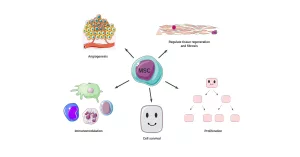 People with Severe Diabetes Cured in Small Stem Cell Trial