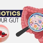 Best Probiotics for Gut Health That Actually Work in 2025 Best Probiotics for Gut Health That Actually Work in 2025
