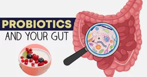 Best Probiotics for Gut Health That Actually Work in 2025 Best Probiotics for Gut Health That Actually Work in 2025