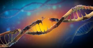 Tracking DNA Mutations: What Lifetime Changes Mean for You