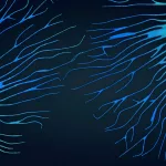 Tracing Dormant Cancer Cells: Chemo Awakens, Senolytics May Prevent Relapse Tracing Dormant Cancer Cells: Chemo Awakens, Senolytics May Prevent Relapse