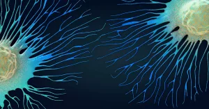 Tracing Dormant Cancer Cells: Chemo Awakens, Senolytics May Prevent Relapse