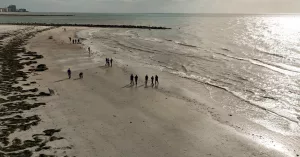 4 Dead, 7 Sickened by Flesh-Eating Bacteria in Florida 4 Dead, 7 Sickened by Flesh-Eating Bacteria in Florida