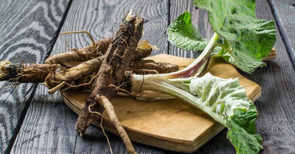 How Long Does It Take for Burdock Root to Cleanse the Blood?