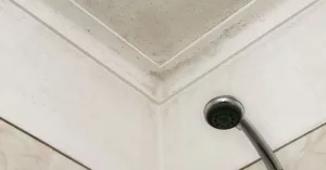 Mold in Bathroom Ceiling: What It Means & How to Fix It