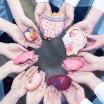 Organ Transplant Complications: What to Expect, What to Watch For Organ Transplant Complications: What to Expect, What to Watch For