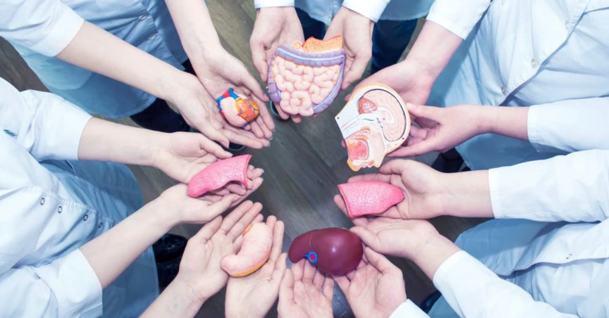 Organ Transplant Complications: What to Expect, What to Watch For