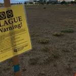Arizona Plague Death: Rare Case Confirmed in Coconino County Arizona Plague Death: Rare Case Confirmed in Coconino County