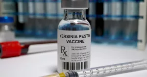 Scientists Crack the Code on New Vaccine for Deadly Plague Bacteria