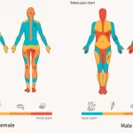 Tattoo Pain Chart Female: What Hurts Most and Why Tattoo Pain Chart Female: What Hurts Most and Why