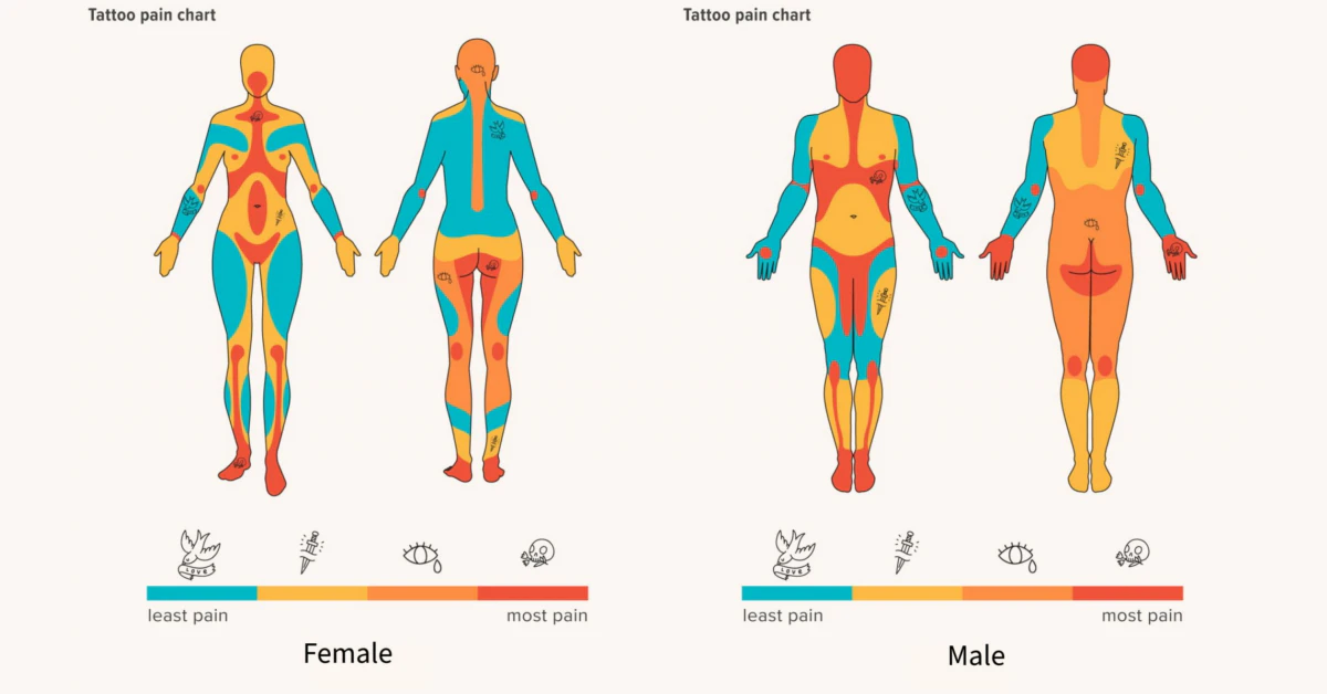 Tattoo Pain Chart Female: What Hurts Most and Why