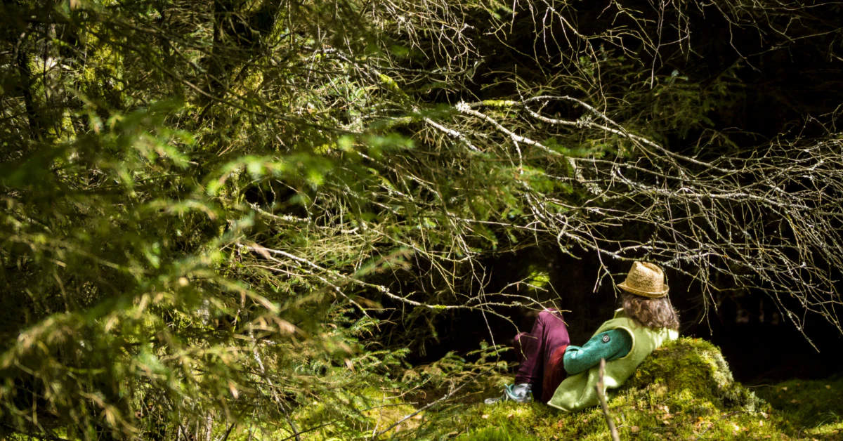Virtual Forest Bathing Found to Alleviate Stress