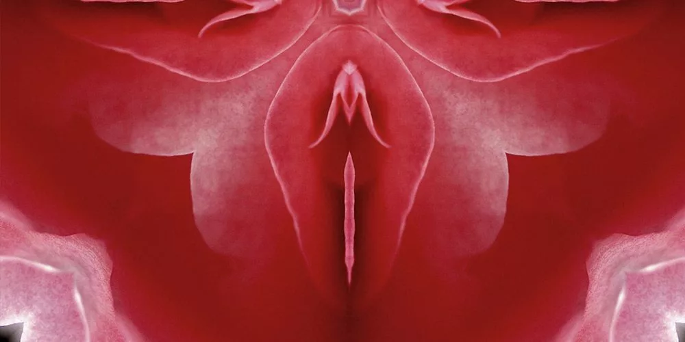 Male to Female Surgery Results: What to Expect
