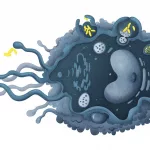 Macrophage Pathways: Signals, Diseases & New Therapies Macrophage Pathways: Signals, Diseases & New Therapies