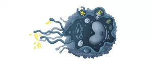 Macrophage Pathways: Signals, Diseases & New Therapies Macrophage Pathways: Signals, Diseases & New Therapies