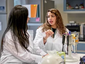 Hepatitis C Genotypes – What They Are & Why They Matter