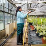 Creative Weekday Team Activities That Boost Bonding & Wellness