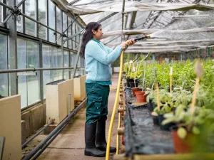 Creative Weekday Team Activities That Boost Bonding & Wellness