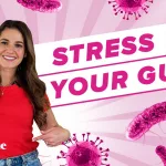 Understanding the Stress Gut Connection and Its Impact Understanding the Stress Gut Connection and Its Impact