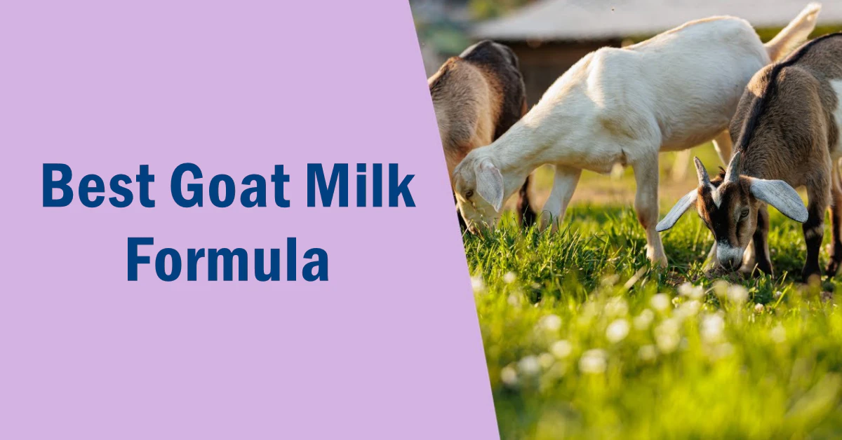 Best Goat Milk Formula: Trusted Picks for Happy Tummies 2025