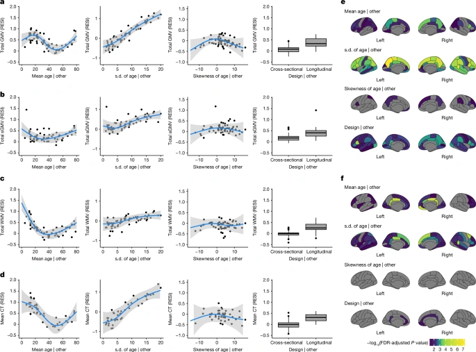 What a Brain Associations Study Really Reveals for You
