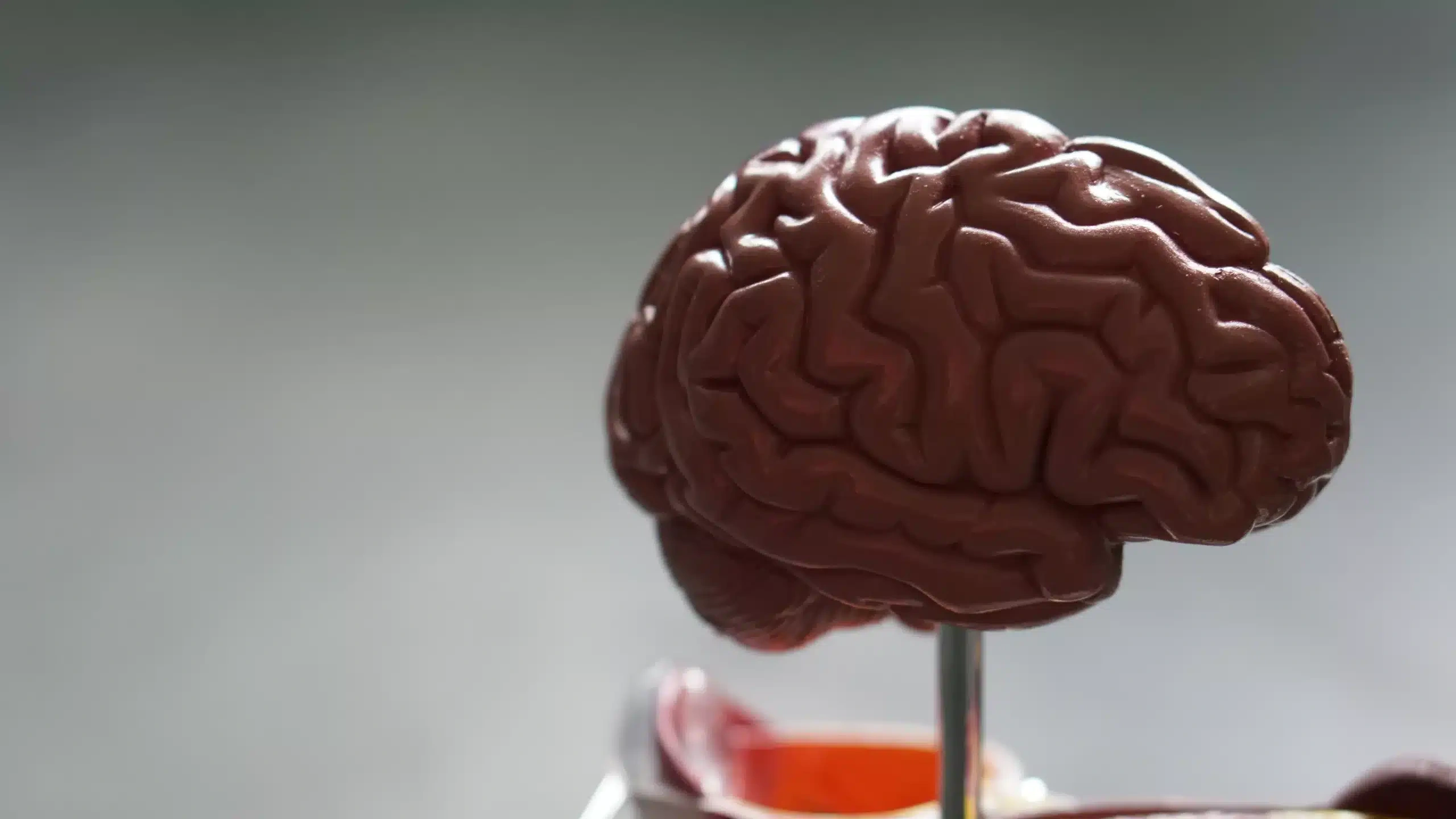 Brain Effects Claim: The Facts Behind the Hype
