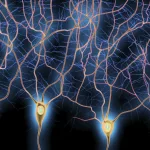 How Brain Links Events Shape Memory and Decision‑Making How Brain Links Events Shape Memory and Decision‑Making