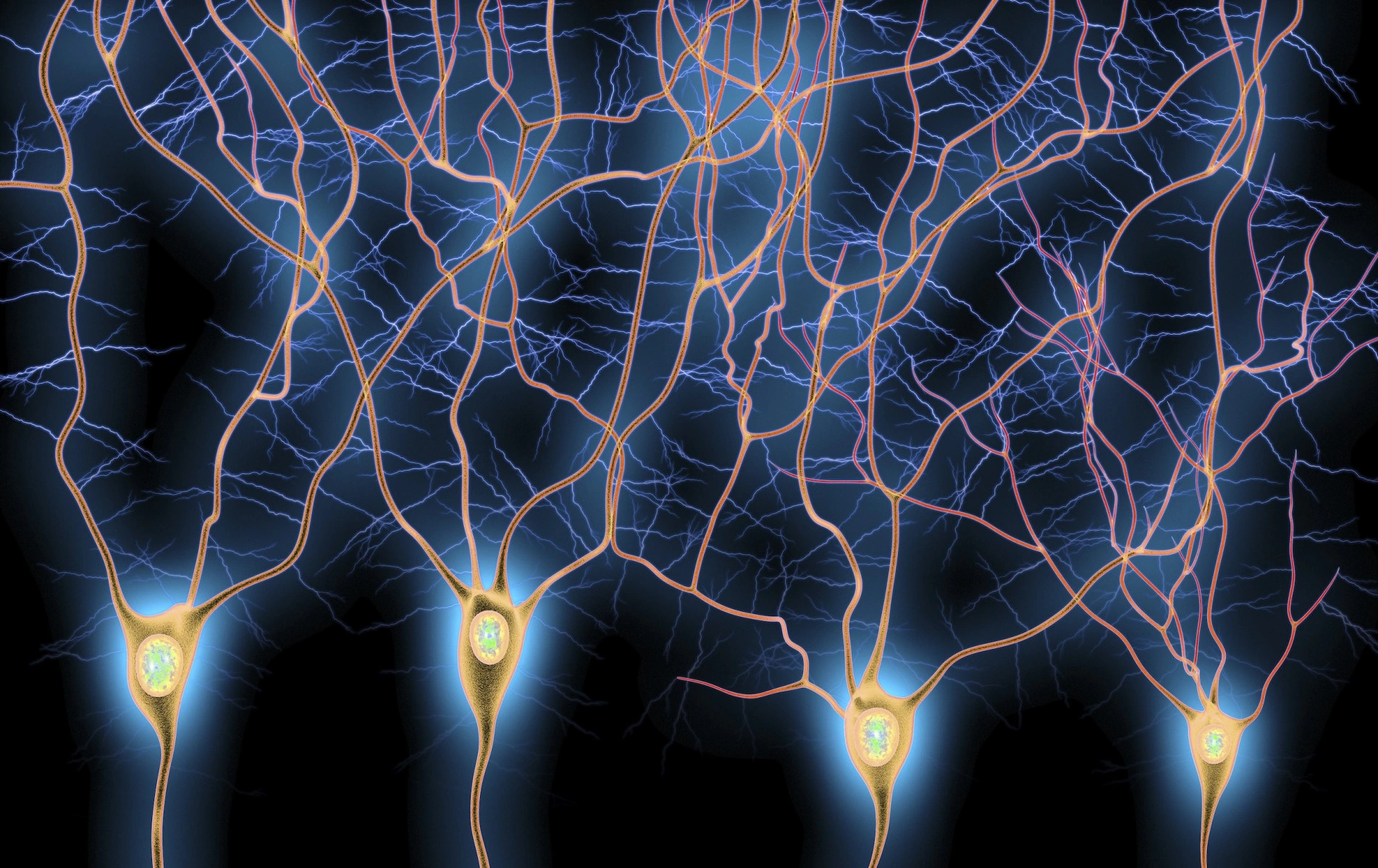 How Brain Links Events Shape Memory and Decision‑Making