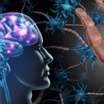 Brain Transport Proteins: Benefits, Risks & Hope Brain Transport Proteins: Benefits, Risks & Hope