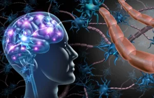 Brain Transport Proteins: Benefits, Risks & Hope